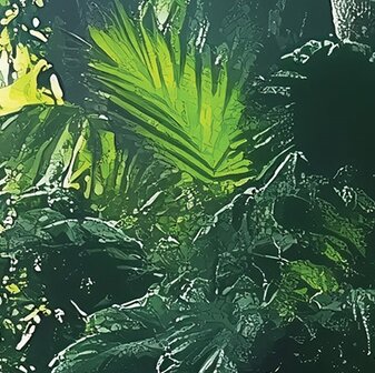 Jungle fotobehang Zonnestralen
