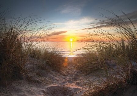 Strand behang Zonsondergang III