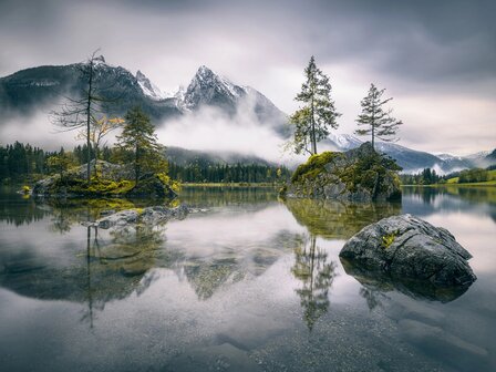 Landschap fotobehang Forest Lake XL
