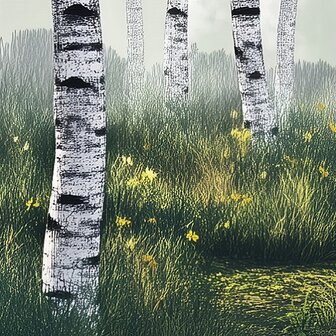 Berkenbos fotobehang V60