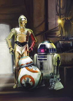Star Wars fotobehang Droids