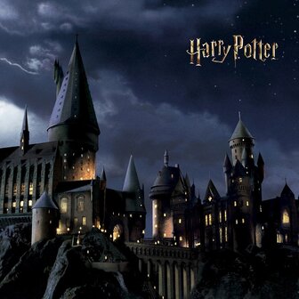 Harry Potter fotobehang Hogwarts XL