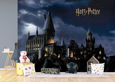 Harry Potter fotobehang Hogwarts XL