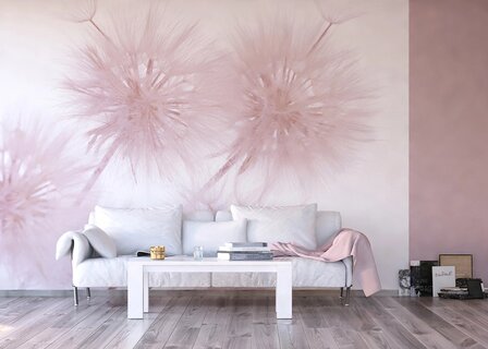 Paardenbloem fotobehang XL Roze