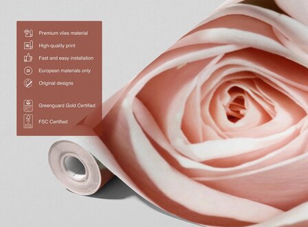 Roze Roos fotobehang XL