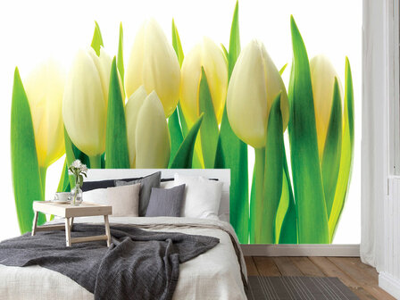 Witte Tulpen fotobehang