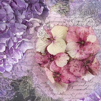 Hortensia fotobehang Memoire