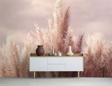 Zachtroze Pampas Gras fotobehang 