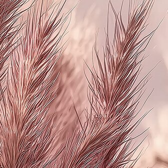 Zachtroze Pampas Gras fotobehang 