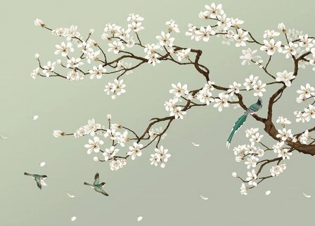 Bloesem fotobehang Magnolia en Vogels