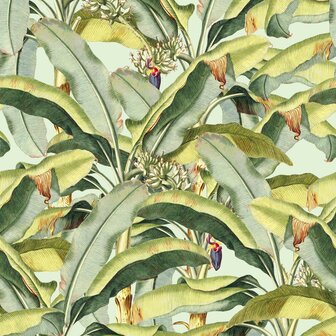 Botanisch fotobehang Banana Grove