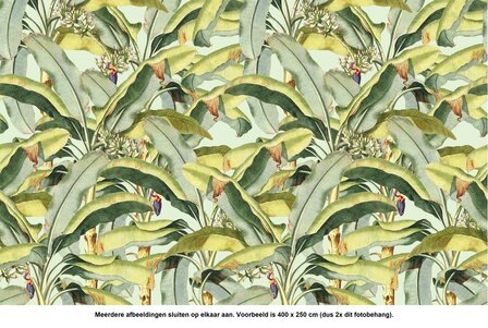 2X Banana Grove fotobehang naast elkaar
