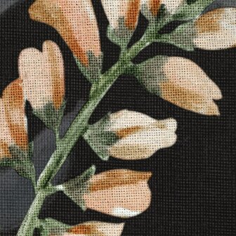 Bloemen fotobehang Nuit Royale