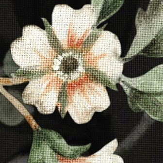 Bloemen fotobehang Nuit Royale