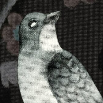 Bloemen fotobehang Nuit Royale