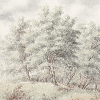 Bos fotobehang Grove