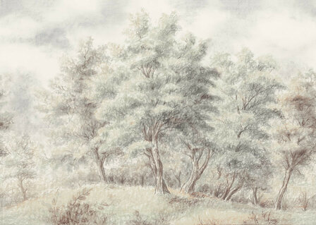 Bos fotobehang Grove