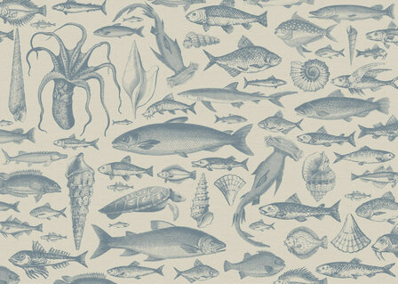 Sea Study fotobehang 350x250cm