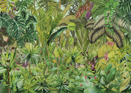 Fotobehang Colorante 350x250xm