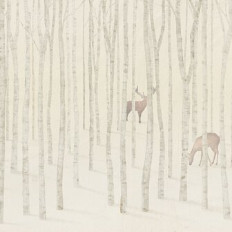 Bos fotobehang Quebec