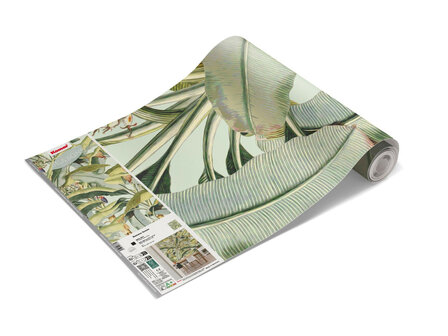 Botanisch fotobehang Banana Grove