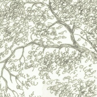 Detail Noble Trees fotobehang