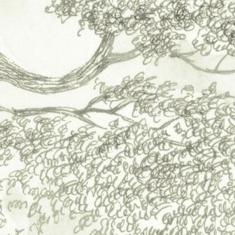 Detail Noble Trees fotobehang