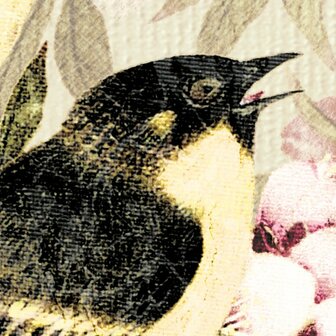 Detail Love Birds fotobehang