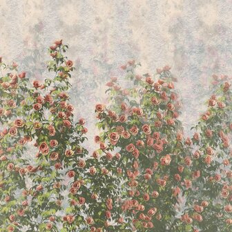 Bloemen fotobehang Wall Roses