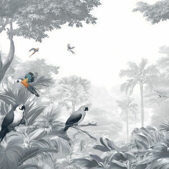 Jungle fotobehang Grijstinten met Papegaaien