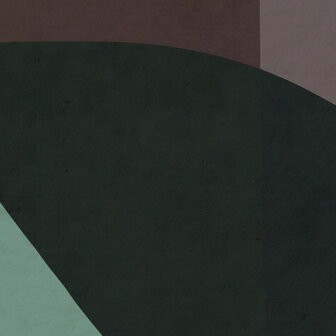 Abstract fotobehang Form Symbiotic