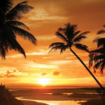 Tropisch Strand fotobehang Palmbomen en Zonsondergang