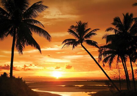 Tropisch Strand fotobehang Palmbomen en Zonsondergang