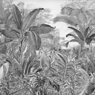 Jungle fotobehang Evolution