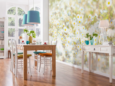 Bloemen fotobehang margrietjes