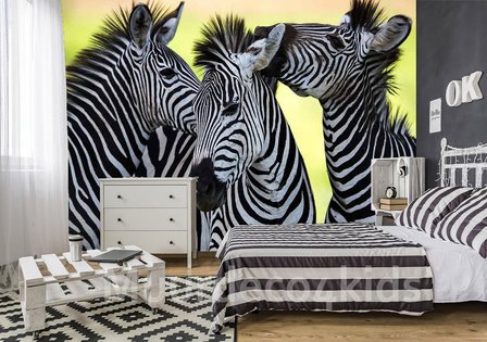 Fotobehang Zebra