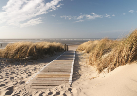 Strand fotobehang Loopplank XL