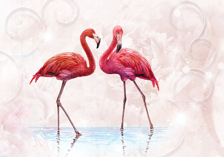 Flamingo fotobehang