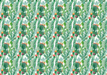 Cactus fotobehang