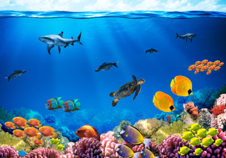 Onderwaterwereld fotobehang