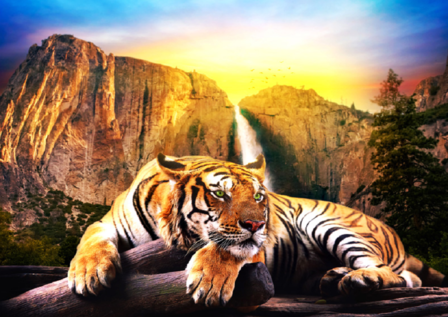 Jungle fotobehang Siberische tijger 