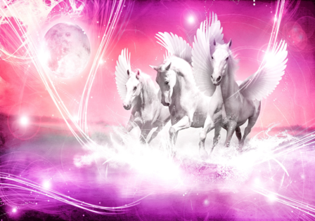 Paarden fotobehang Pegasus roze - Vlies XL