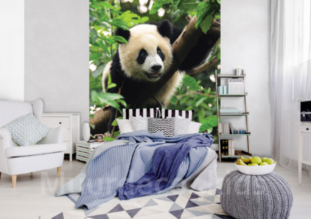 Jungle fotobehang Panda L1