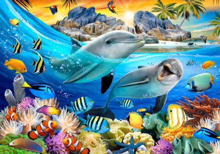 Onderwater behang dolfijnen 2