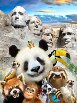 Jungledieren behang Selfie USA