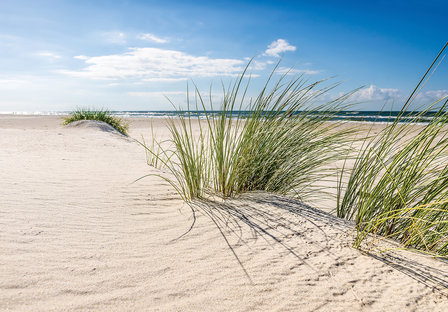 Strand fotobehang helm gras