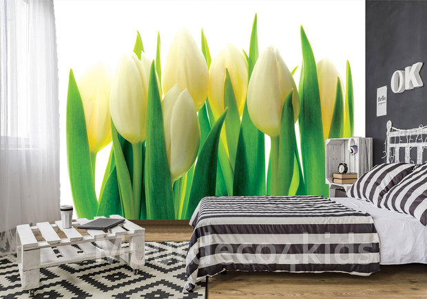 Witte Tulpen fotobehang