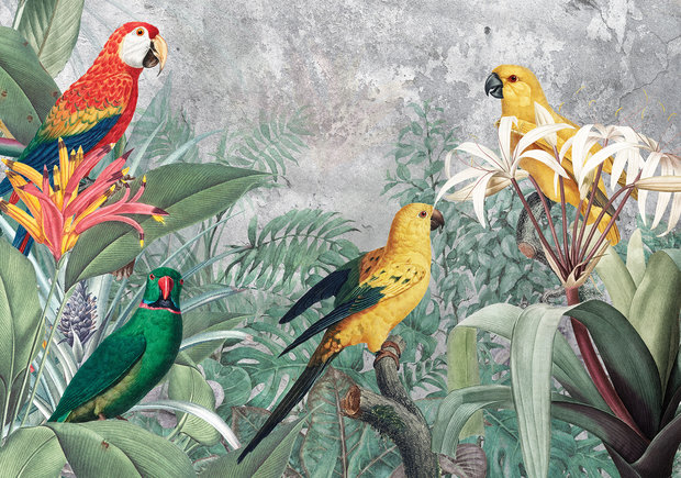 Papegaaien jungle fotobehang