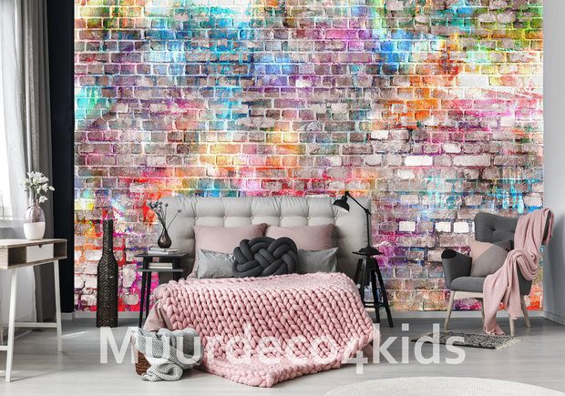 Beginner Zichzelf Renovatie Gekleurde stenen muur fotobehang | Muurdeco4kids