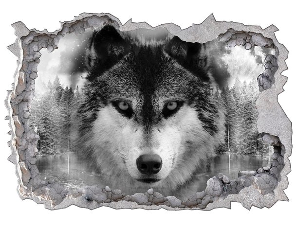 3D fotobehang Wolf